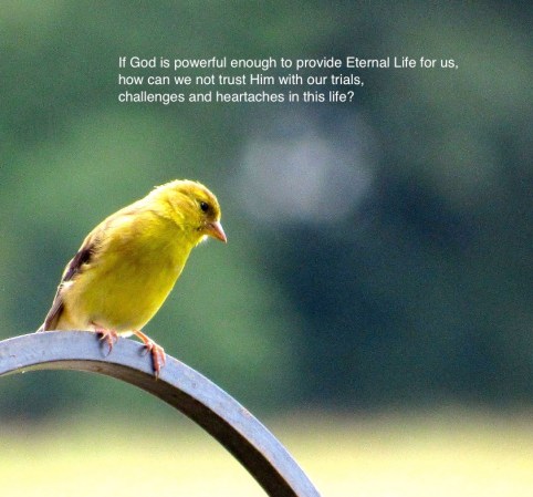 If God is powerful enough