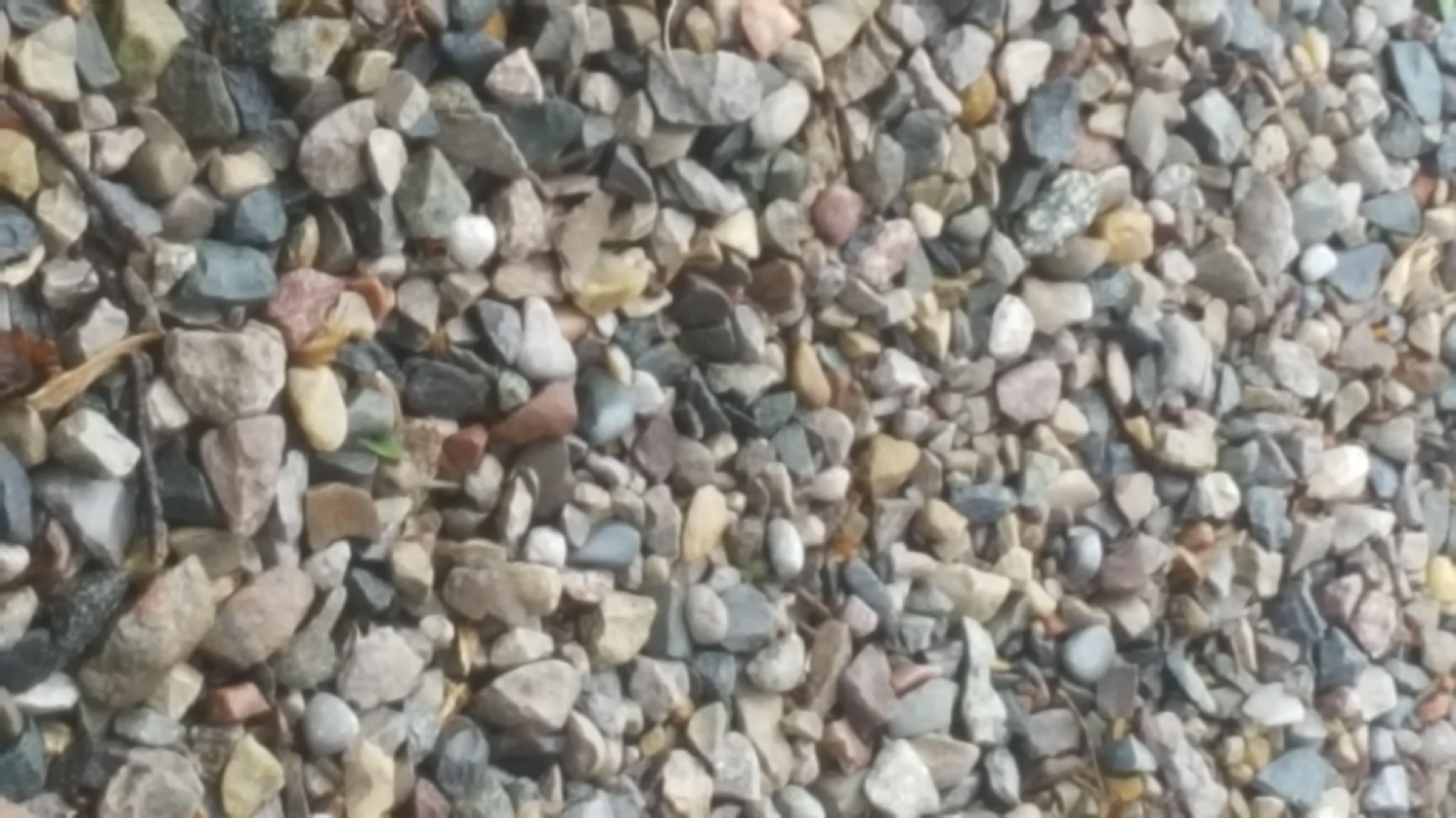rocks